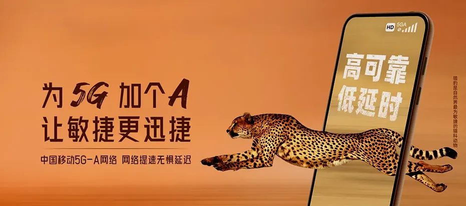 泗阳县泗阳县临河镇 移动宽带
