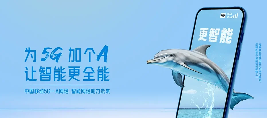 泗阳县泗阳县众兴街道 移动宽带